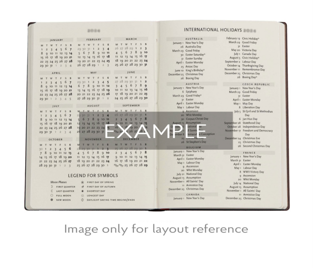 Paperblanks - 2026 Balloon Festival, Pierre the Maze Detective, 12-Month Planner Flexis, DAY-AT-A-TIME - Midi, Day-at-a-Time, Elastic Band, 432 Pg, 80 GSM