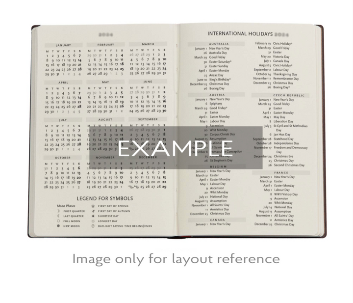 Paperblanks - 2026 Balloon Festival, Pierre the Maze Detective, 12-Month Planner Flexis, DAY-AT-A-TIME - Midi, Day-at-a-Time, Elastic Band, 432 Pg, 80 GSM