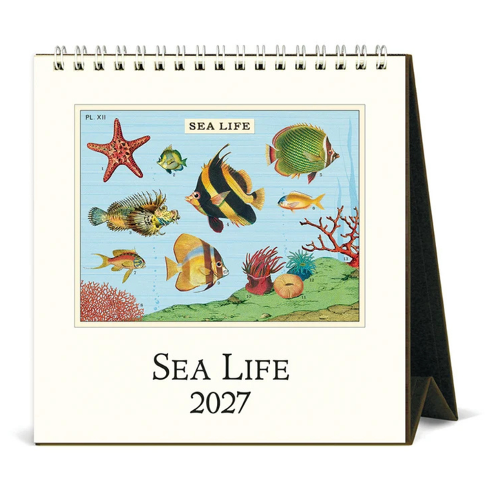 Cavallini & Co - 2027 Desk Calendar - Sea Life
