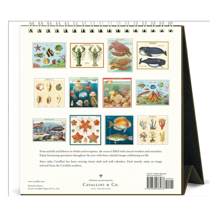 Cavallini & Co - 2027 Desk Calendar - Sea Life