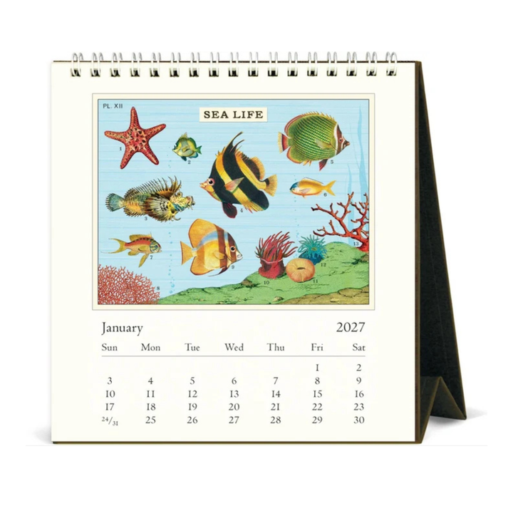 Cavallini & Co - 2027 Desk Calendar - Sea Life