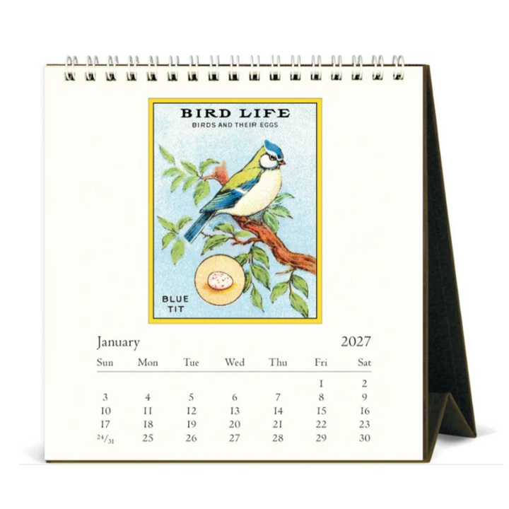 Cavallini & Co - 2027 Desk Calendar - Vintage Birds