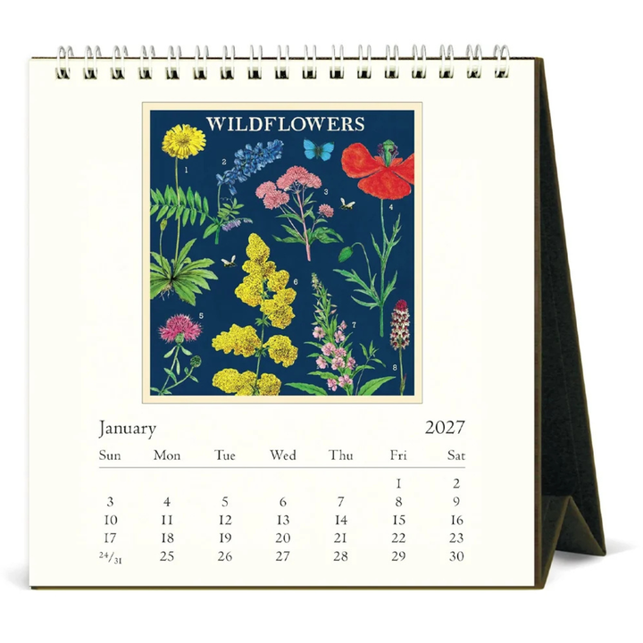 Cavallini & Co - 2027 Desk Calendar - Wildflowers