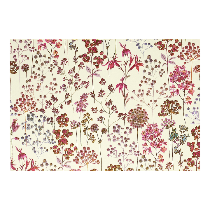Peter Pauper Press - Boxed Note Cards - Wildflower Meadow