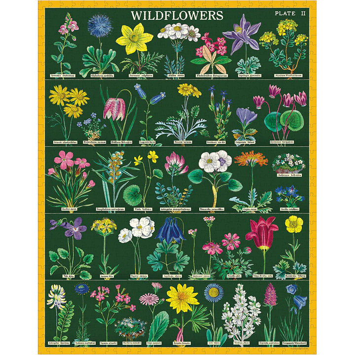 Cavallini & Co - Vintage Puzzle 1000 Pieces - Wildflowers 2