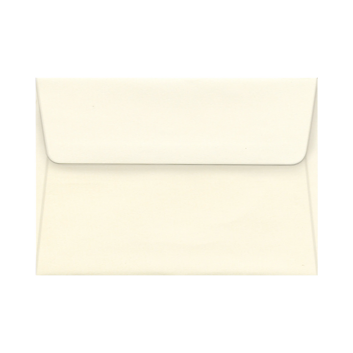 Peter Pauper Press - Thank You Boxed Note Cards - Celestial