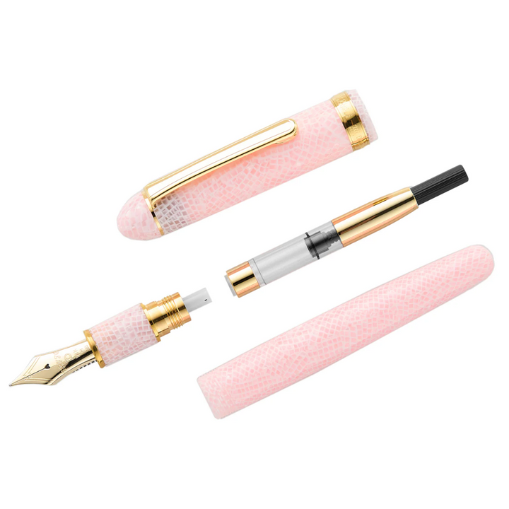 Platinum - #3776 Century 14kt Fountain Pen - Celluloid Sakura