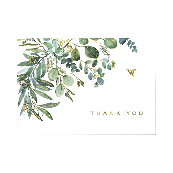 Peter Pauper Press - Thank You Boxed Note Cards - Eucalyptus