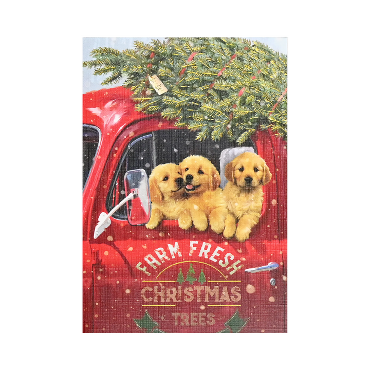 Peter Pauper Press - Holiday Boxed Note Cards - Festive Pups