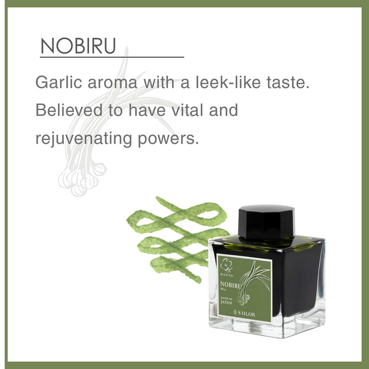 SAILOR PEN - Manyo Ink -  Bottled Fountain Pen Ink (50ml) - Nobiru