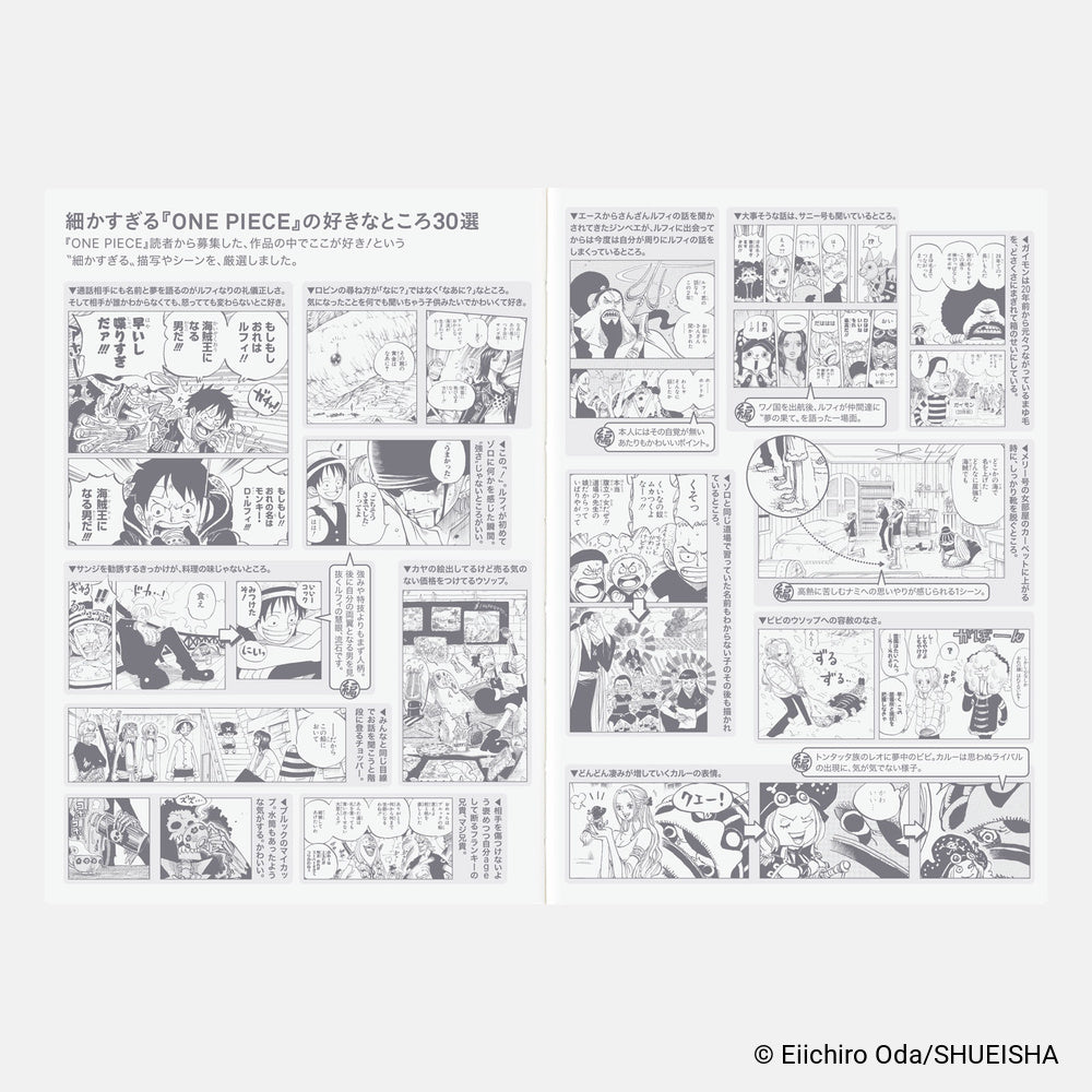 Hobonichi Techo 2027 - Japanese A6 Original Book - One Piece Edition [Jan & Mon Start]