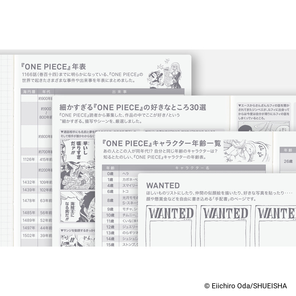 Hobonichi Techo 2027 - Japanese A6 Original Book - One Piece Edition [Jan & Mon Start]