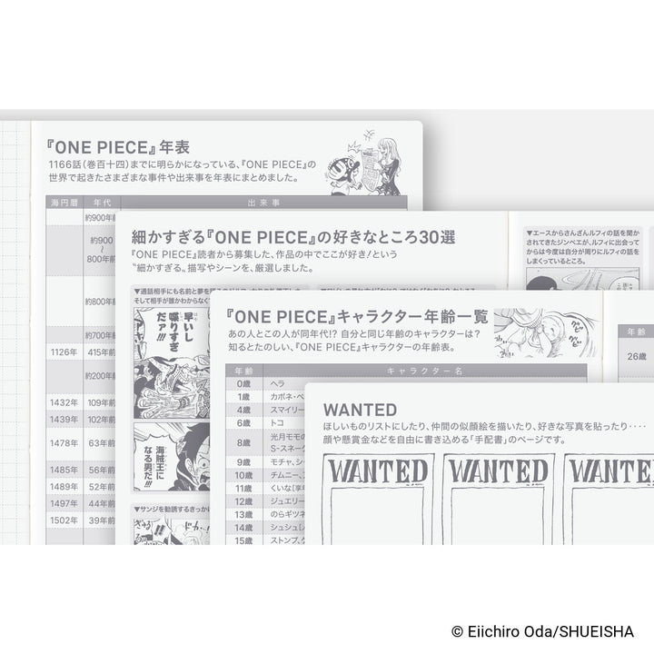 Hobonichi Techo 2027 - Japanese A6 Original Book - One Piece Edition [Jan & Mon Start]