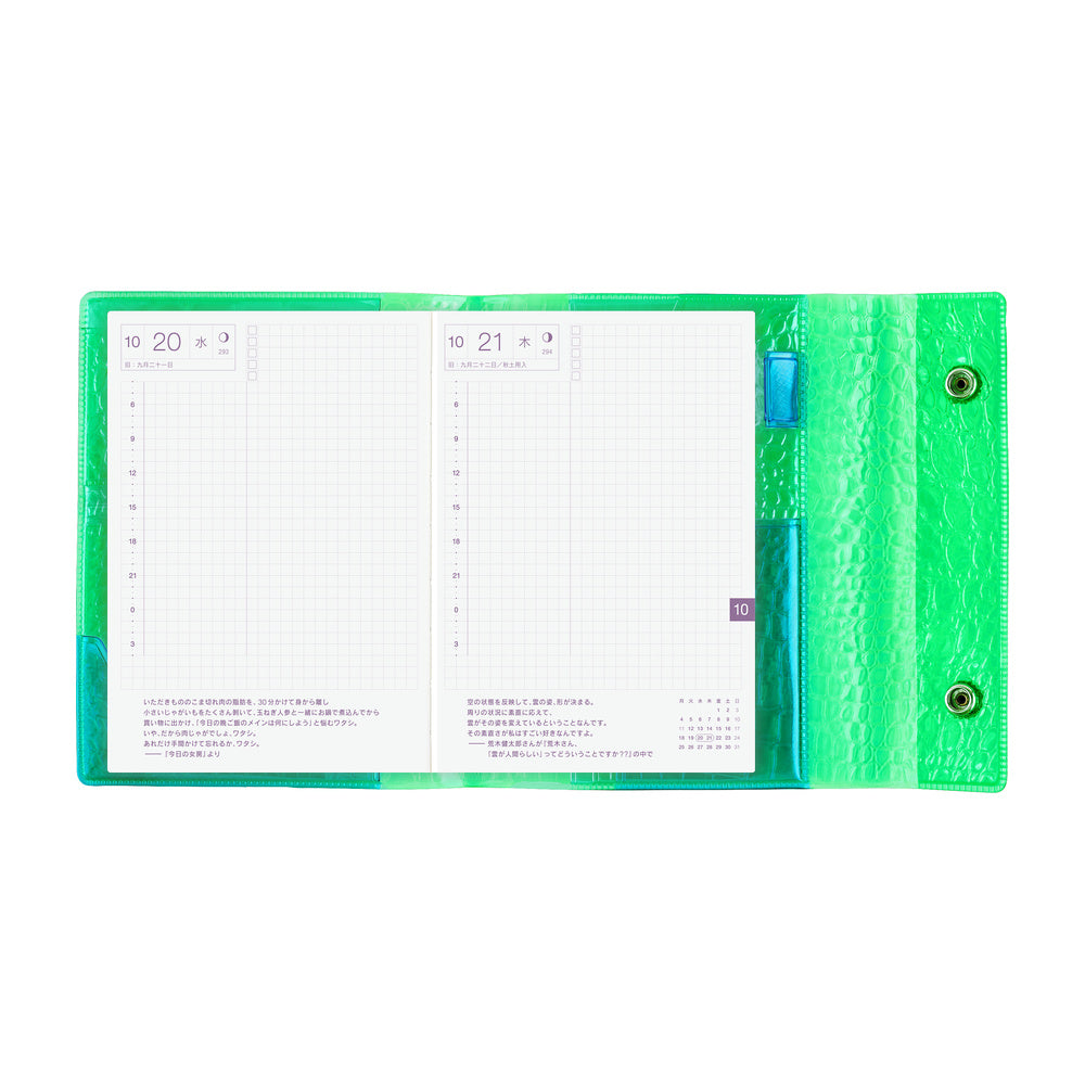 Hobonichi Techo 2027 - A6 Cover Only - beautiful people: Nothing to Hide (Green)