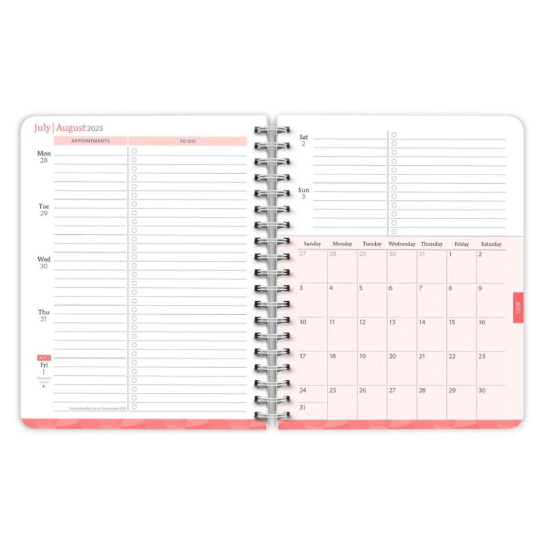 Brown Trout - 2026 18 Months Weekly Desk Planner - Starburst