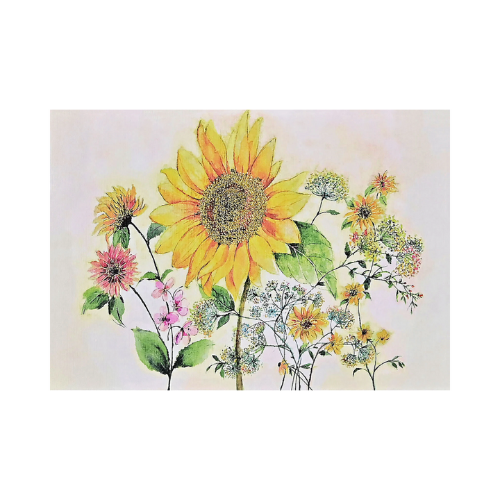 PETER PAUPER PRESS - Boxed Note Cards - Watercolor Sunflower