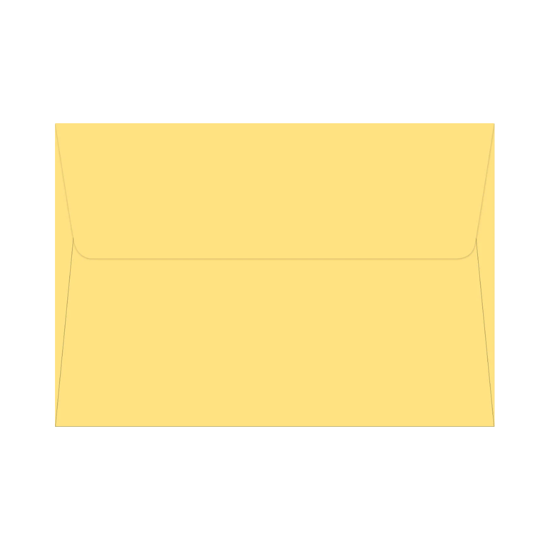 PETER PAUPER PRESS - Boxed Note Cards - Watercolor Sunflower