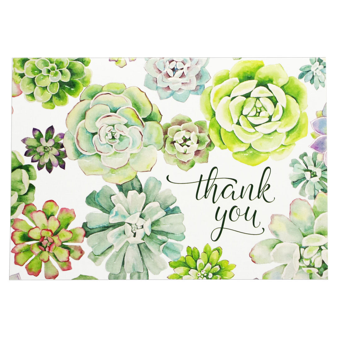 succulent stationery PETER PAUPER PRESS