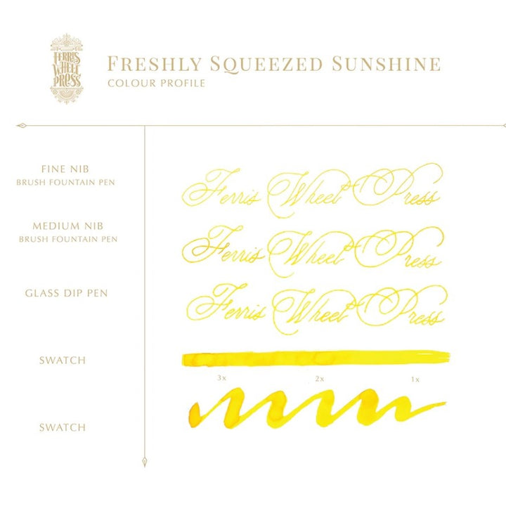 FERRIS WHEEL PRESS – Ink Charger Set of 3 Colors -The Freshly Squeezed Collection - Buchan's Kerrisdale Stationery